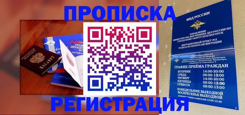 временная регистрация для школы в Купино